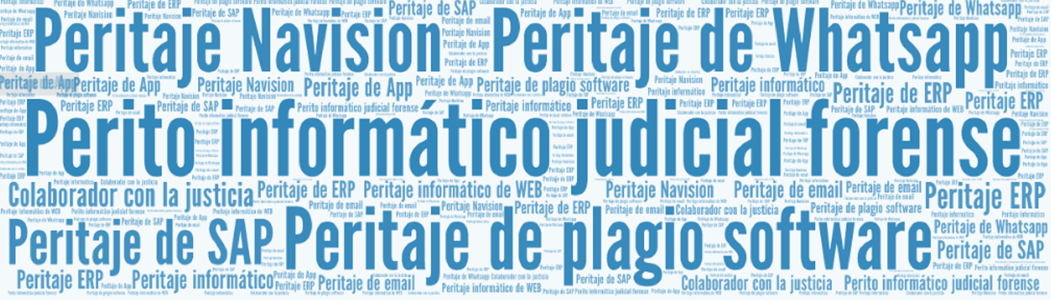 Perito Informático • Leyes y Tecnología